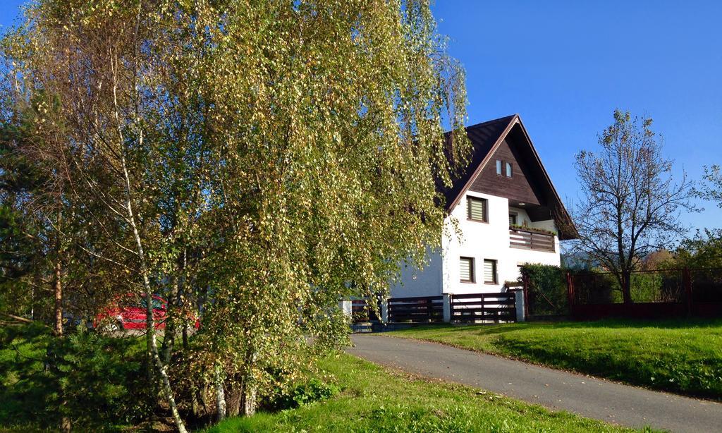 Apartment U Andela Dlouhá Ves 部屋 写真