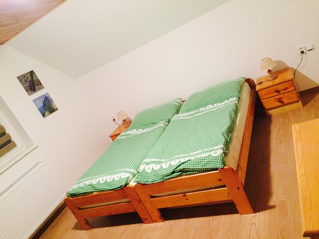 Apartment U Andela Dlouhá Ves エクステリア 写真